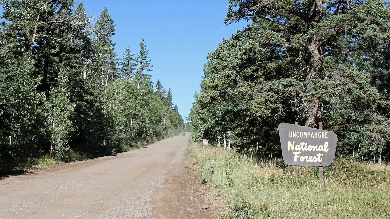 A dirt road entering the Uncompahgre National Forest, Colorado